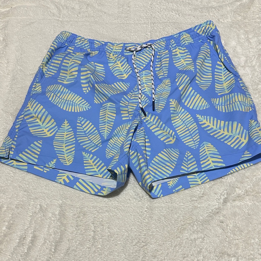 American Eagle | size medium | swim trunks
